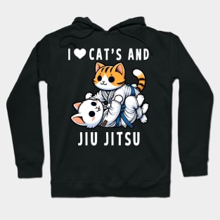 I Love Cats And Jiu Jitsu Hoodie